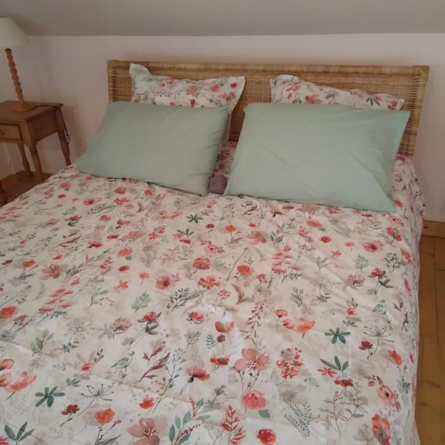 Les Dames De La Saugiat Panzió Le Fied Kültér fotó